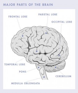 brain tumor symptoms relating to the brain